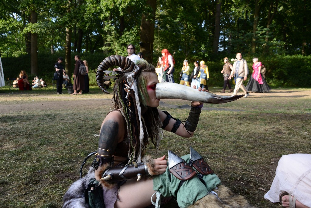 ../Images/Zaterdag Castlefest 2015 310.jpg